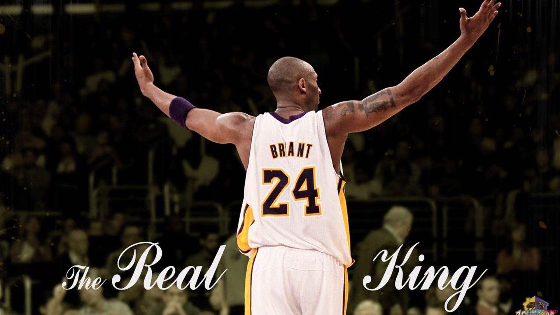 【马克·塞尔比】坚守防守原则，赢得比赛的致胜法宝，马克塞尔比练球视频