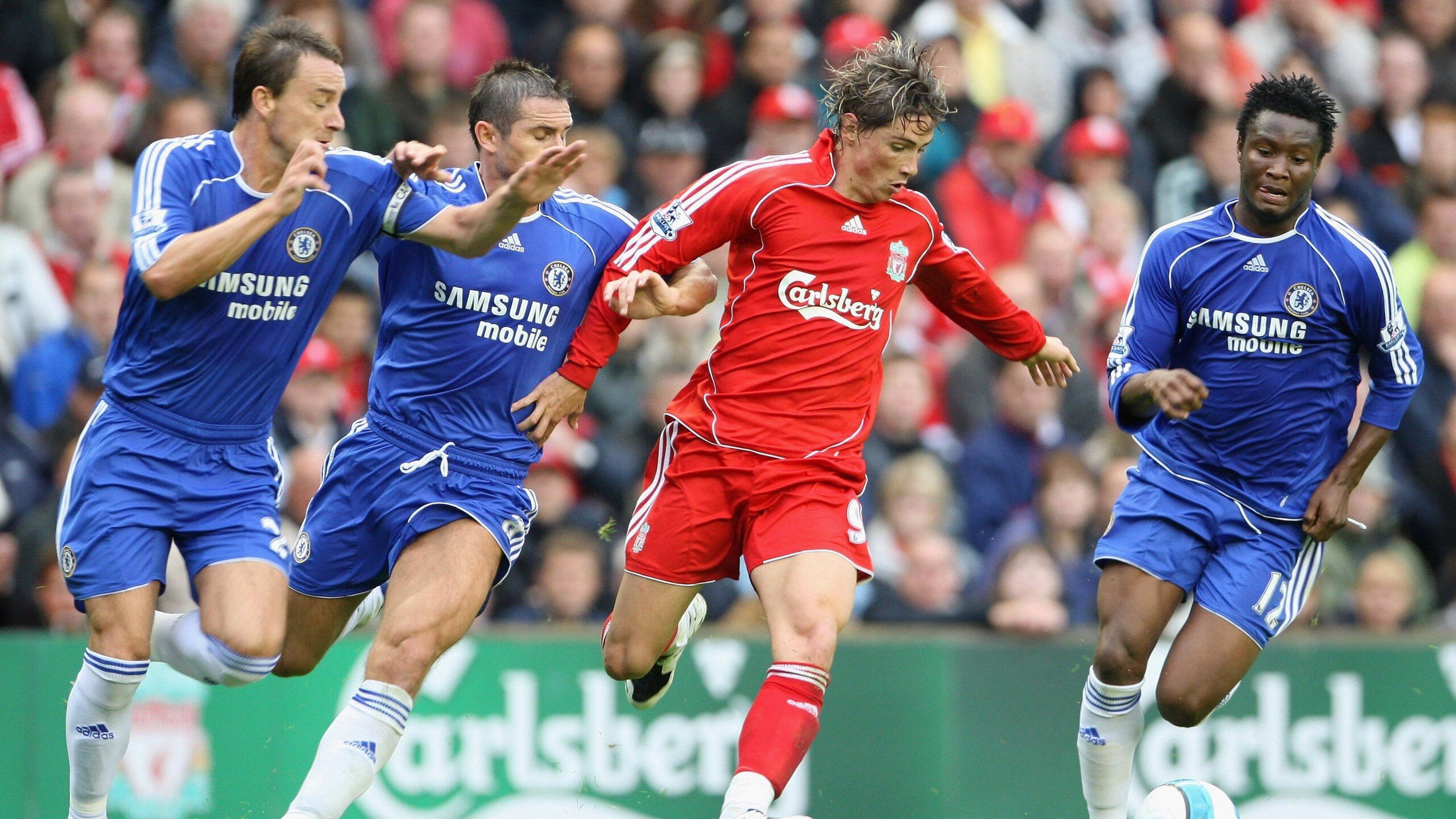 最“萌”的比赛:球迷与动物的趣味互动,动物踢球的游戏